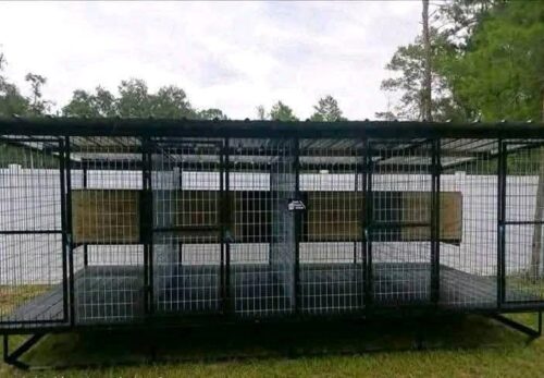 Top 10 Features Every Premium Dog Kennel Should Have