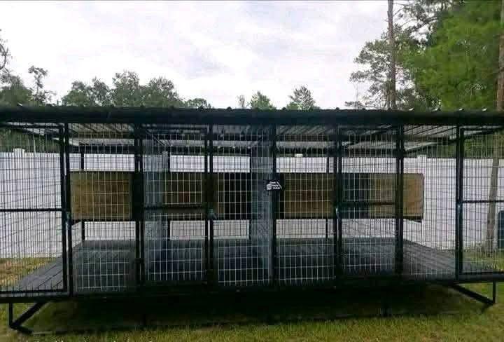 Top 10 Features Every Premium Dog Kennel Should Have