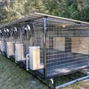 Standard 5-Bay Dog Kennel with Fans