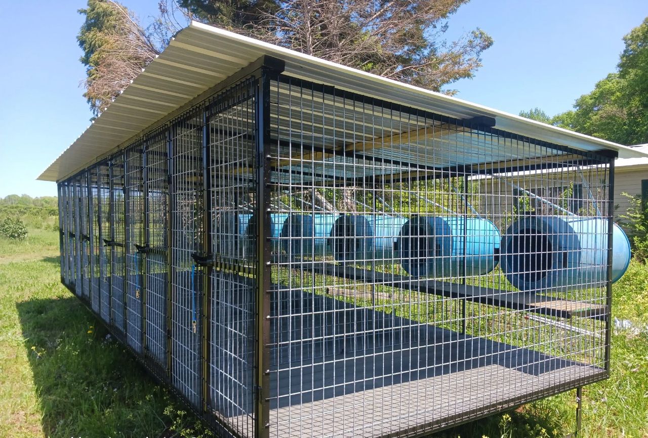 Standard Six-Bay Dog Kennel with Barrel Dog Houses - Image 2