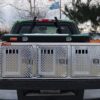 The Ultimate Guide to Choosing the Perfect Dog Box for Your Truck
